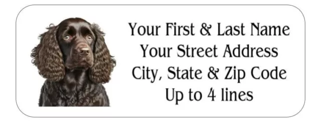 150 American Water Spaniel Dog Mailing Return Address Labels Personalized