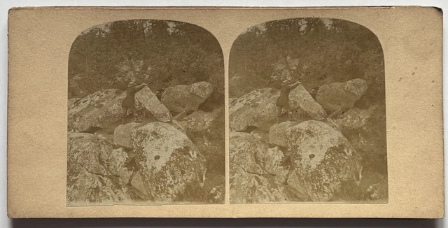 Ancienne Photo Stéréoscopique De Séville - Cirque De Toros Vers 1860 - Tirage Original Albumine