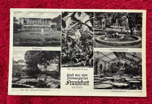 Postcards ~ 3868 ~ Frankfurt ~ MAILED