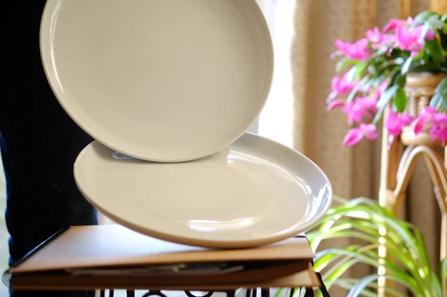 Jamie oliver deals dinner plates