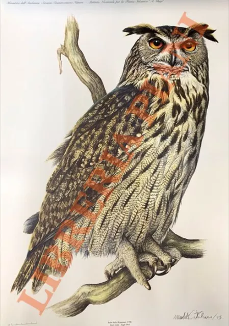 Iconografia degli uccelli d'Italia.  Vol. II. Falconiformes, Galliformes.