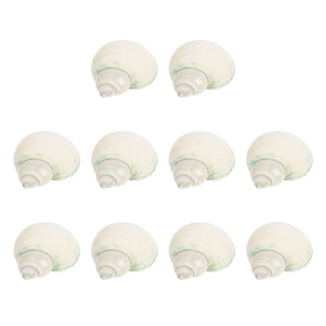 Adornos naturales para pecera caracola ermitaño cangrejo caparazones pelados