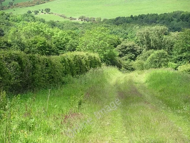 Photo 6x4 Green lane Aberdour A grassy road leads down to the Cullaloe Lo c2011