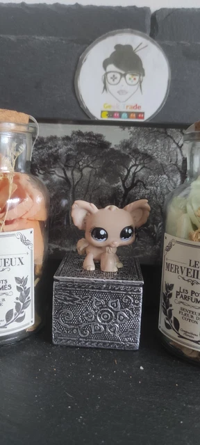 Poupée BJD Groove Pang Jungle - Campbell Pang Chien Chihuahua - Rare
