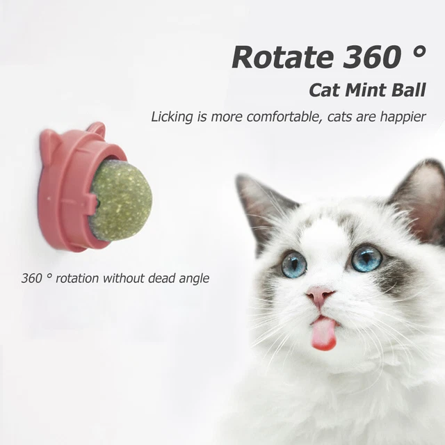 Bola giratoria de menta para gato, bolas naturales para gatos, molares-menta para gatos-Sn