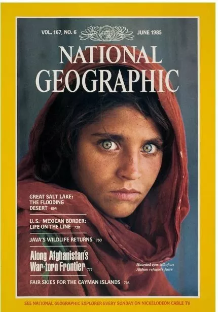 National Geographic Magazine - lotto di 105 riviste usate -  dal 1976 al 1998