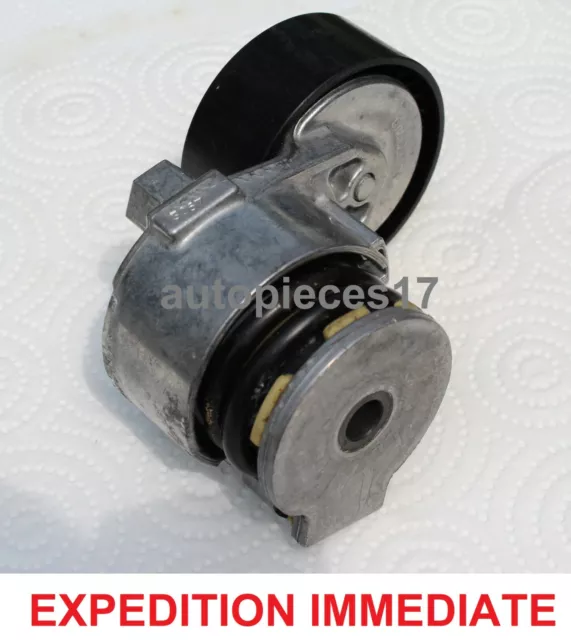 Galet Tendeur De Courroie 8200460446 Neuf D'origine Renault Dacia Nissan