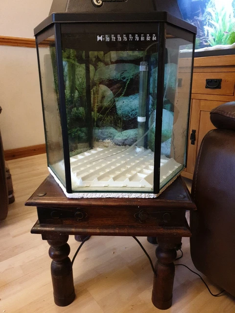 SIX SIDED HEXAGON Shaped Clear Seal Fish Tank With Some Accessories and  Stand. £25.00 - PicClick UK