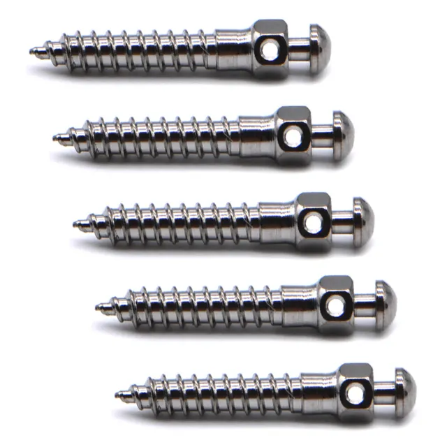 5 Packs Dental Micro Mini Screws 2.0*10 mm Orthodontic Anchorage Nails