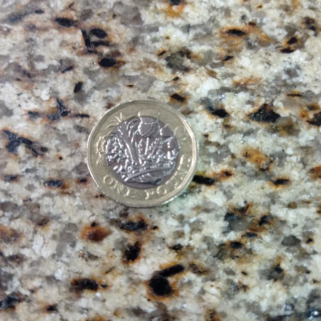 pièce d'argent one poud 2017 reine Elizabeth 2