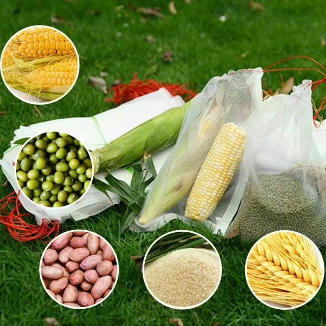 200/100/50PCS Reusable Plant Fruit Protection Net Bag Mesh Against Insect Pest 3