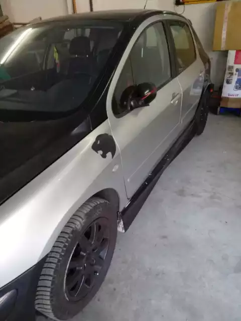 Peugeot 307 1600 benzina 110 CV Peugeot 307 1600 benzina 110 CV