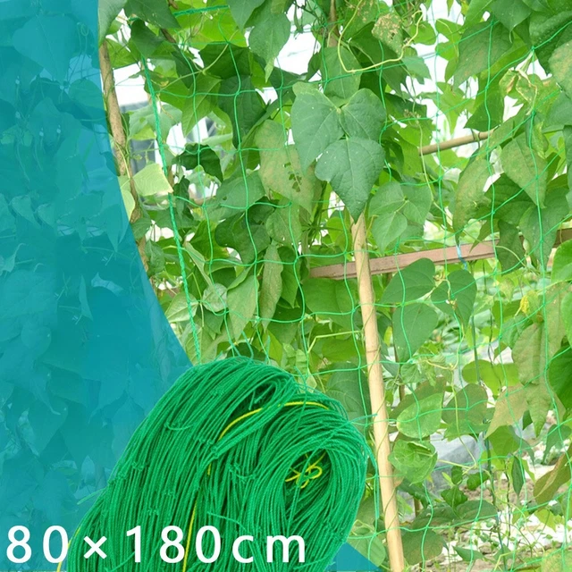 Support de filet de jardin robuste pour les plantes de haricots grimpantes stimu
