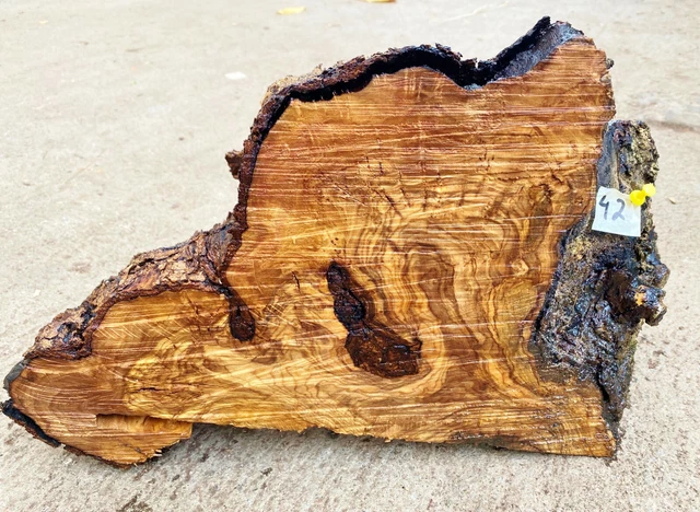 Olivenholz, Olive, Holz zum Basteln, Schnitzen, Drechseln, 6,6 kg Deko-Objekt