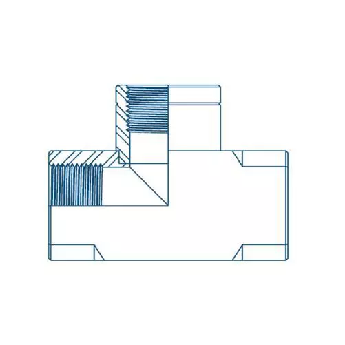 BSP Fixed Female x BSP fixed female Tee - 1/8 to 2 2