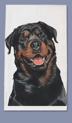 Rottweiler Dish Towel