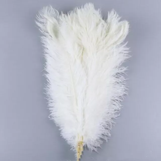 10Pc pack Large Ostrich Feathers For Wedding Party Costume Decoration About 25cm