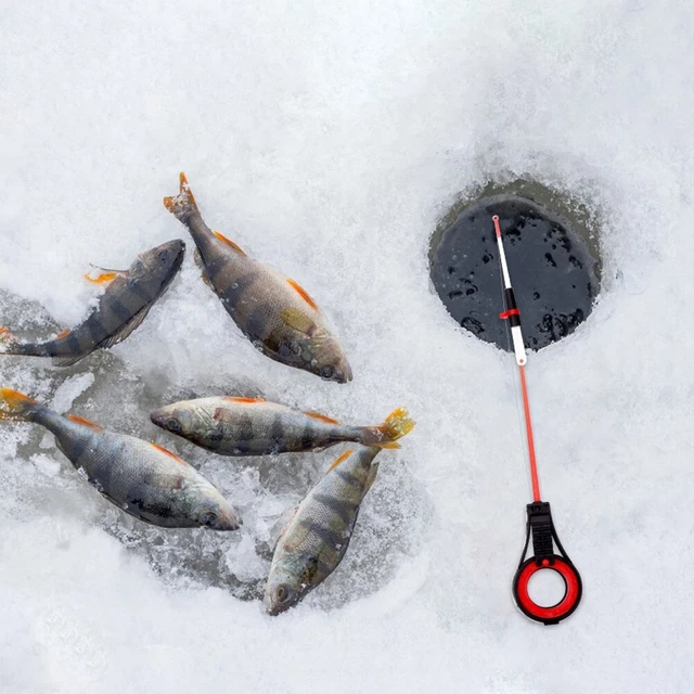 Top Tip Fish Spinner Rod pour hiver sports de plein air activités de pêche sur