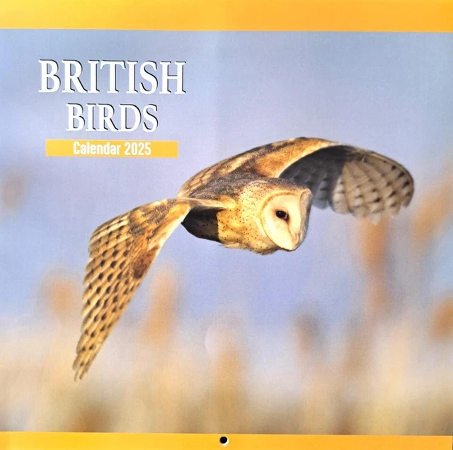 2025 BRITISH BIRDS Animals Square Wall Calendars Wildlife Wild Planner
