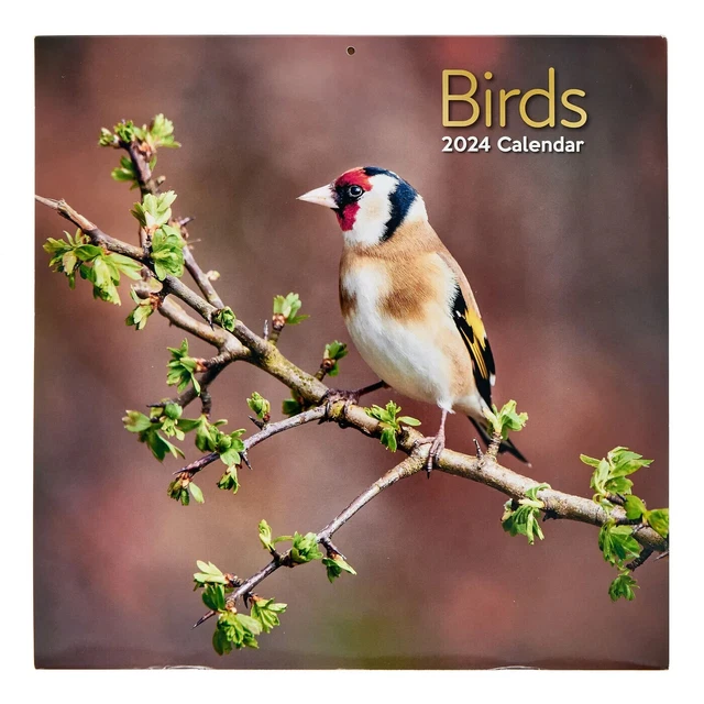 GARDEN BIRDS 2024 Calendar Square 30 x 30cm Month to View £5.95