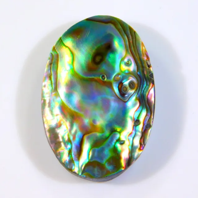 28 CT Superbe Naturel Arc en Ciel Feu Abalone Coque Ovale Cabochon Gemme Ci =