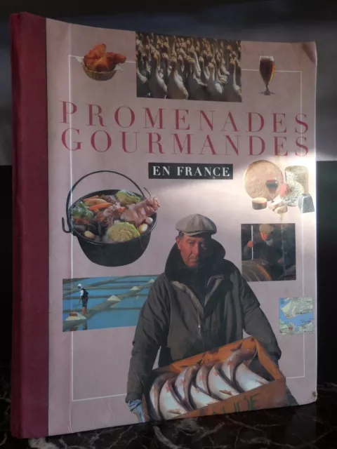 Promenades gourmandes en France Jean-Luc PETITRENAUD Pierre VALLAUD 1998 Italie