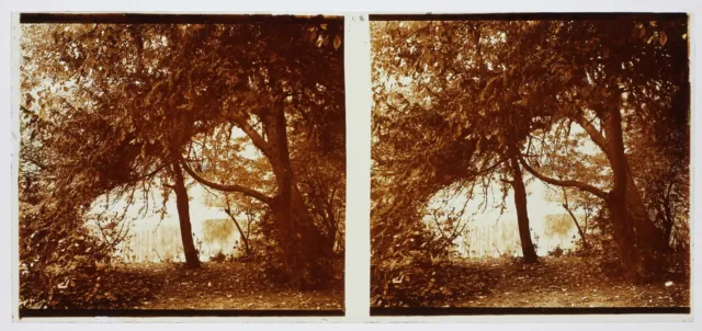 Landscape Artistic Photography France Stereo PL58L13n5 Glass Plate c1920