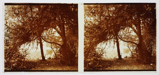 Landscape Artistic Photography France Stereo PL58L13n5 Glass Plate c1920