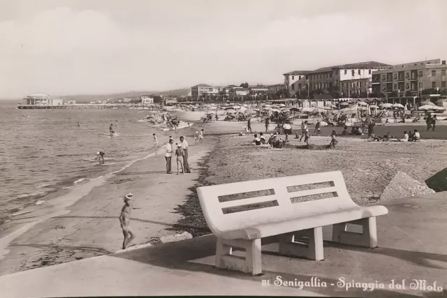 Cartolina - Senigallia - Spiaggia dal Molo - 1956
