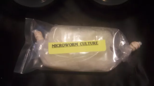 4 OZ MICROWORM CULTURE KIT Panagrellus redivivus Fry Food Guppy Betta Barb B2G1 3