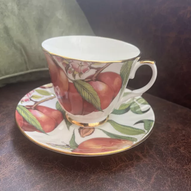 Duchess - Peach - Bone China Fluted Tea Cup & Saucer with Gilt Detail