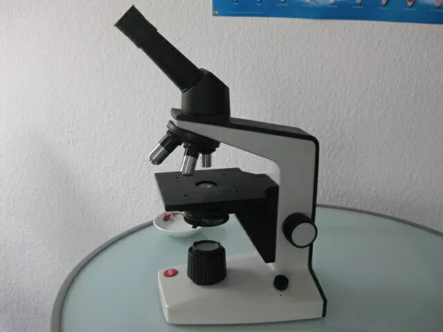 Ernst Leitz Wetzlar Mikroskop HM-LUX 3 mit 3 Objektiven (4/10/40) + Beleuchtung