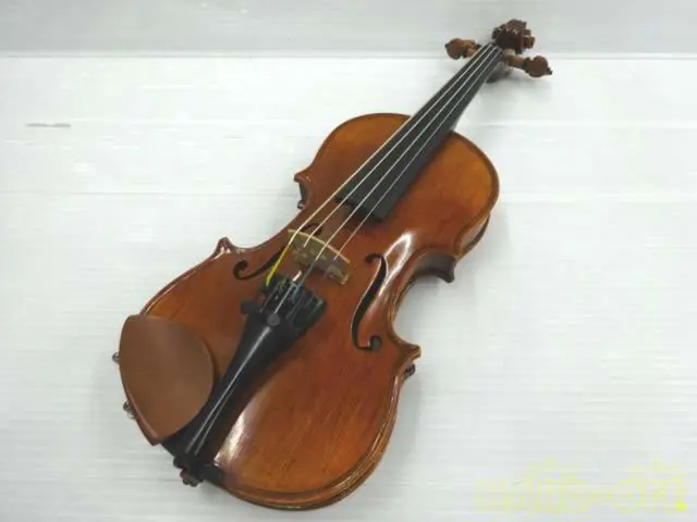 Carlo Giordano Vs-2 3/4 String Instrument Violin X148- With Accessories and Bag