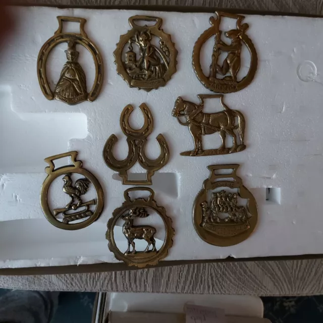 horse brasses collection