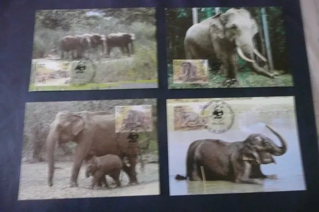 Sri Lanka Elephants 2005 Wwf  Maximum Card Set Of 4