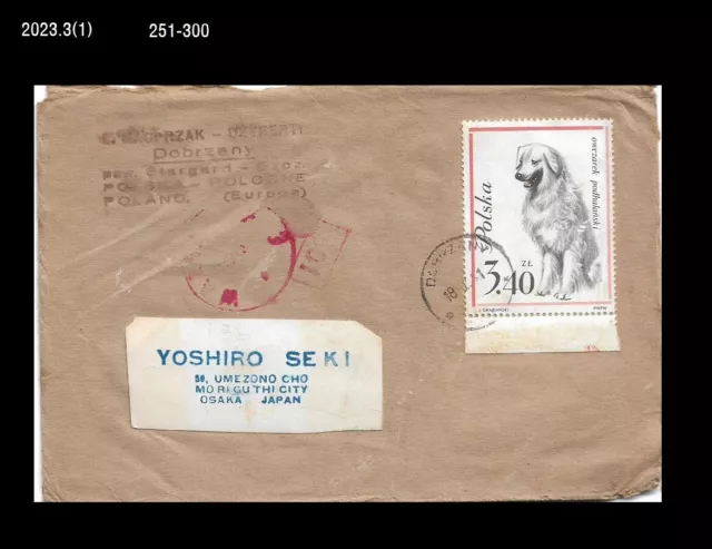 Puppy,Pet,Dog,Animal,Poland Cover to Japan