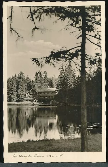 AK Am träumenden Arbersee, Arber/Eisenstein 94252, (1955)  (31740)