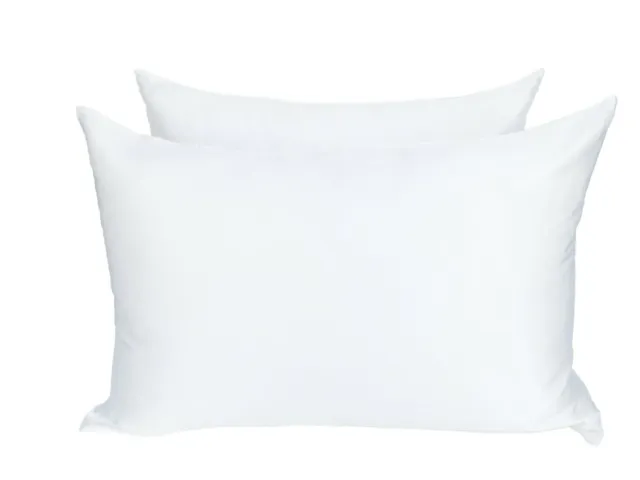 2x PURE WHITE Both Sides 100% Mulberry Silk Pillowcase Pair 22 Momme RRP$160