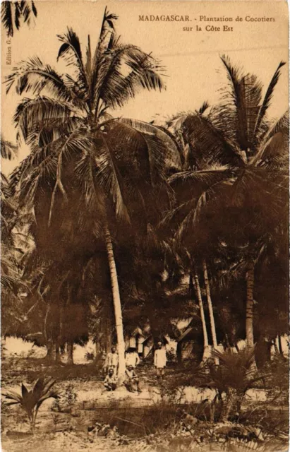 CPA AK Plantation de Cocotiers sur la Cote Est MADAGASCAR (1262575)