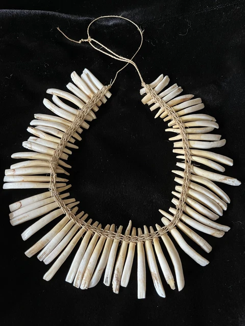 Old Tribal Boar Teeth And Natural Fiber Necklace