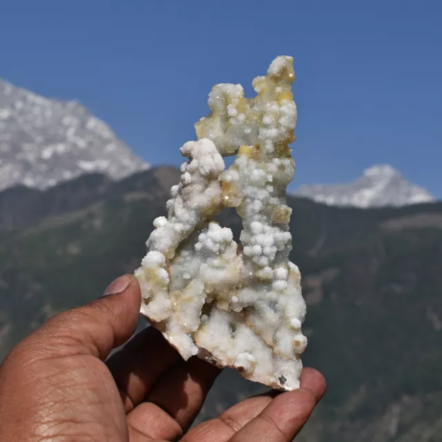 Himalayan Himalaya Gold Smokey White Azeztulite Quartz Crystal Cluster