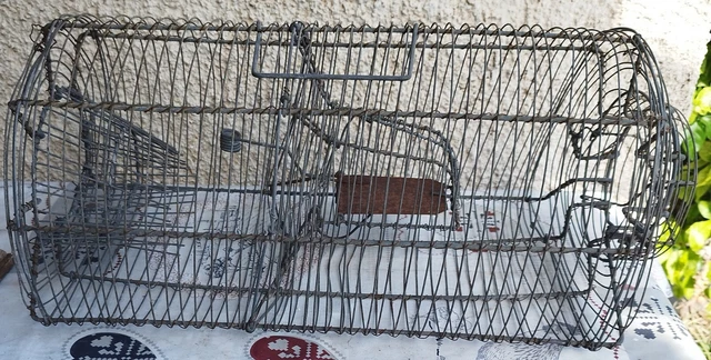 Rat-L-Trap Piège à leurres 1/2 oz