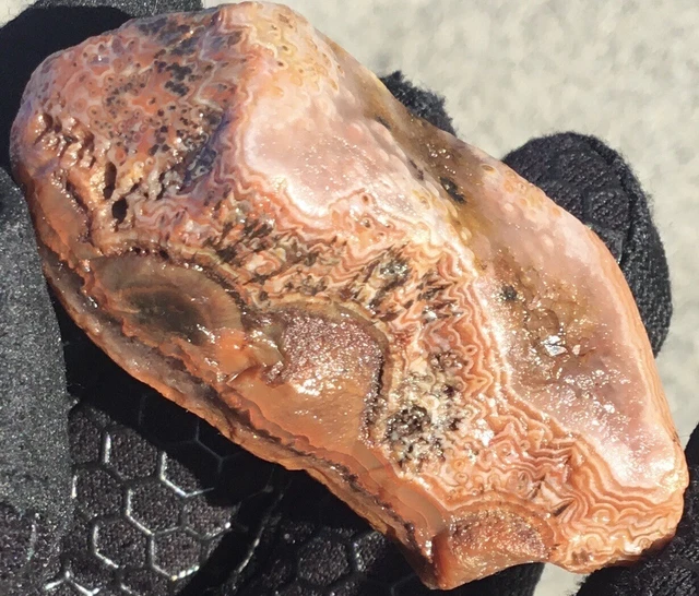 2.1 oz Lake Superior Agate Sagenite Eye Wrap Around Floater Amethyst 🤯 Lsa
