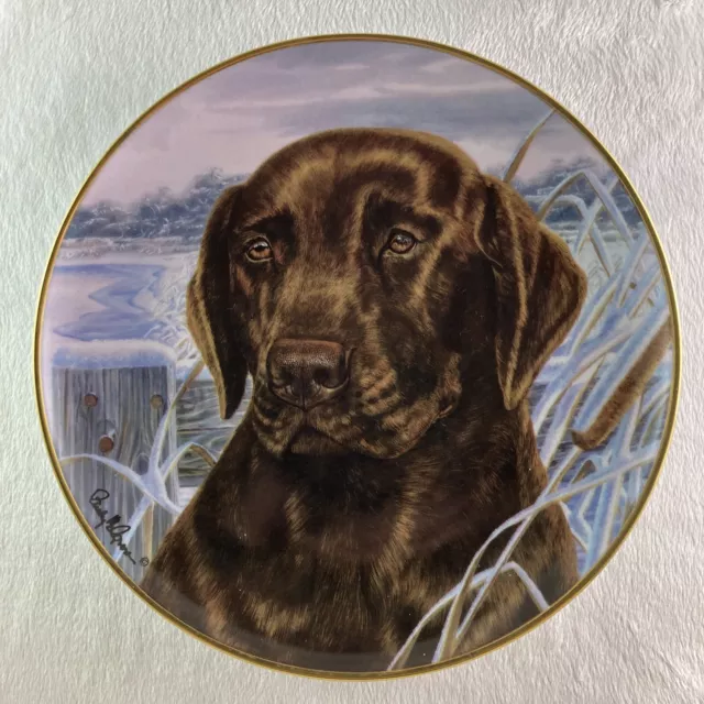 AFTERNOON WATCH Plate Chocolate Lab Labrador Franklin Mint Randy McGovern 8 1/4"