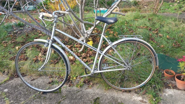Vélo de ville Arc en Ciel taille 53 S