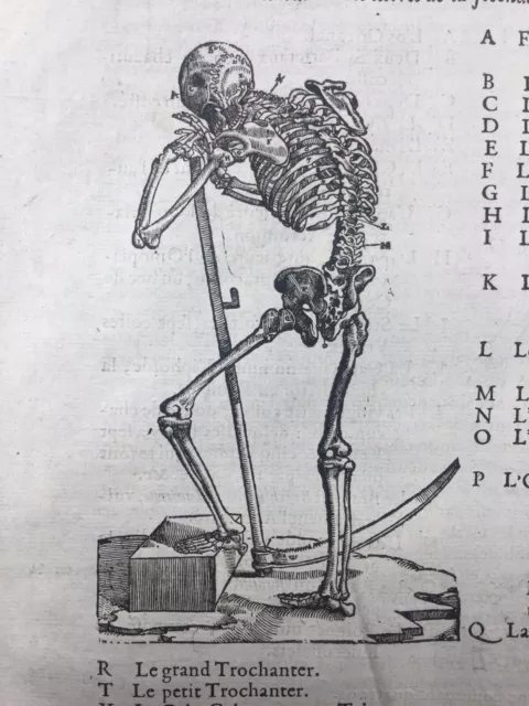 Anatomie 1614 Squelette Rare Gravure sur Bois Docteur Ambroise Paré Médecine