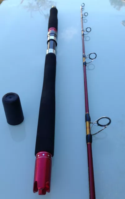 Nano Carbon Fibre ULTIMATUM Jigging Fishing Rod 6' 15-24 Big Game Spin Overhead