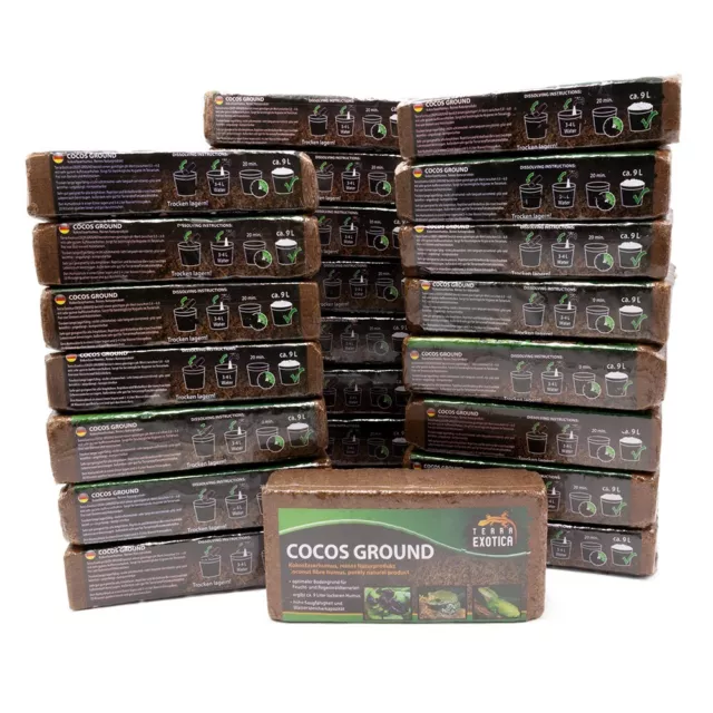 Cocos Ground feiner Humusziegel 24x 650 g - Kokosfaserhumus für Terrarien