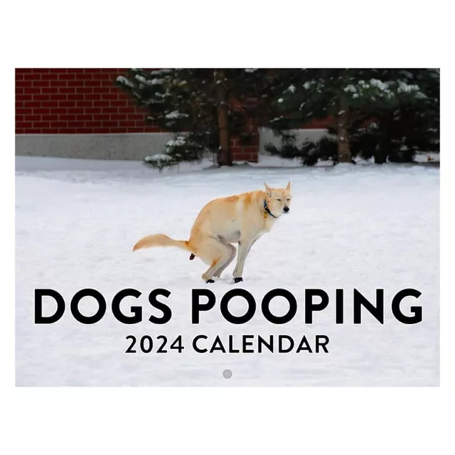 CALENDRIER MURAL 2025 LE CHIEN Mini taille (Teckel) 169 × 169 mm EUR 40