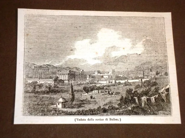 Rarissima incisione del 1836 Veduta delle rovine di Balbec